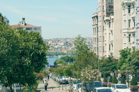 Afghan-American Debut Novel Breaks the Americans Abroad Template Narrow Istanbul street with historic buildings and pedestrians at dusk