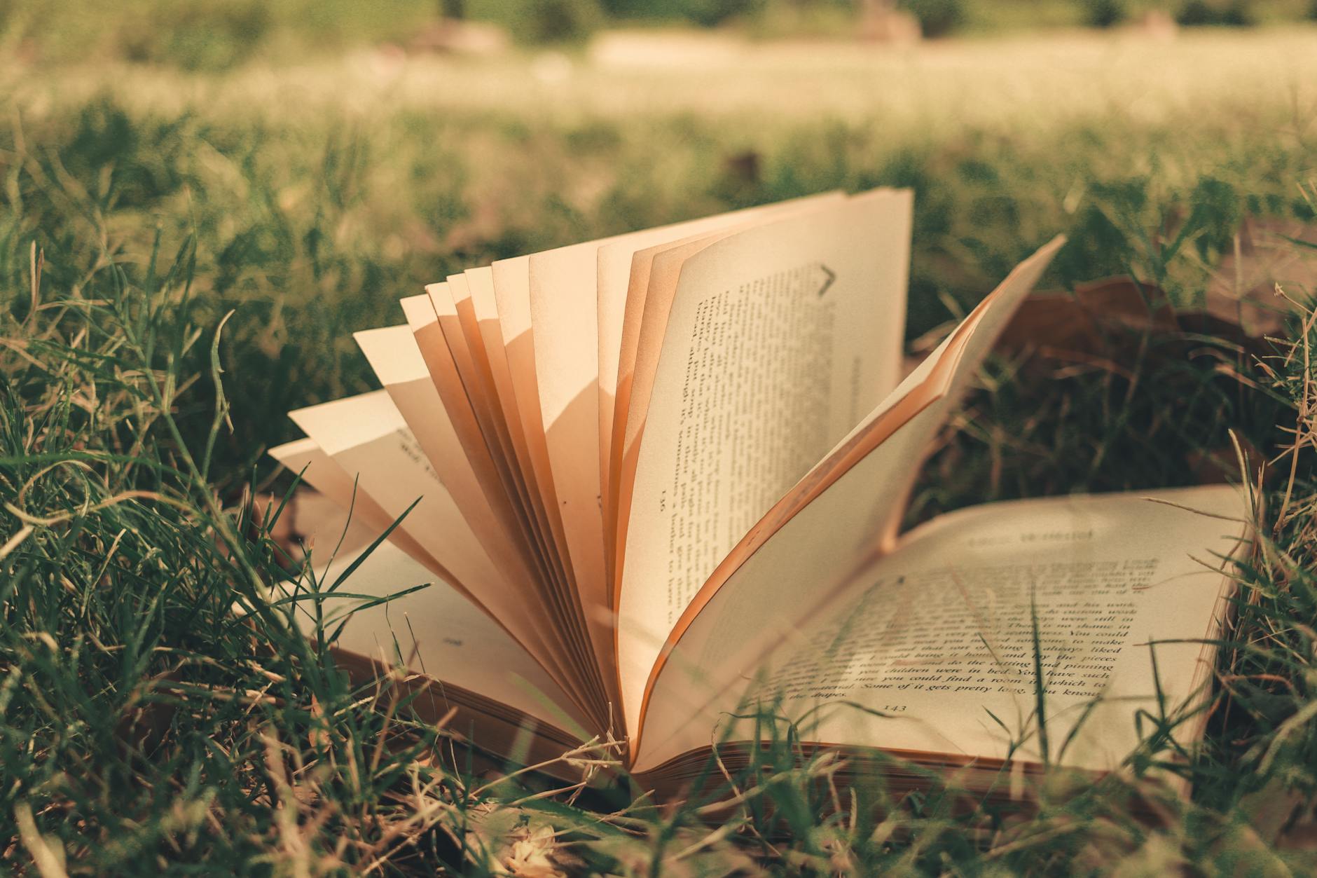 Person reading an open book at a table in soft natural light