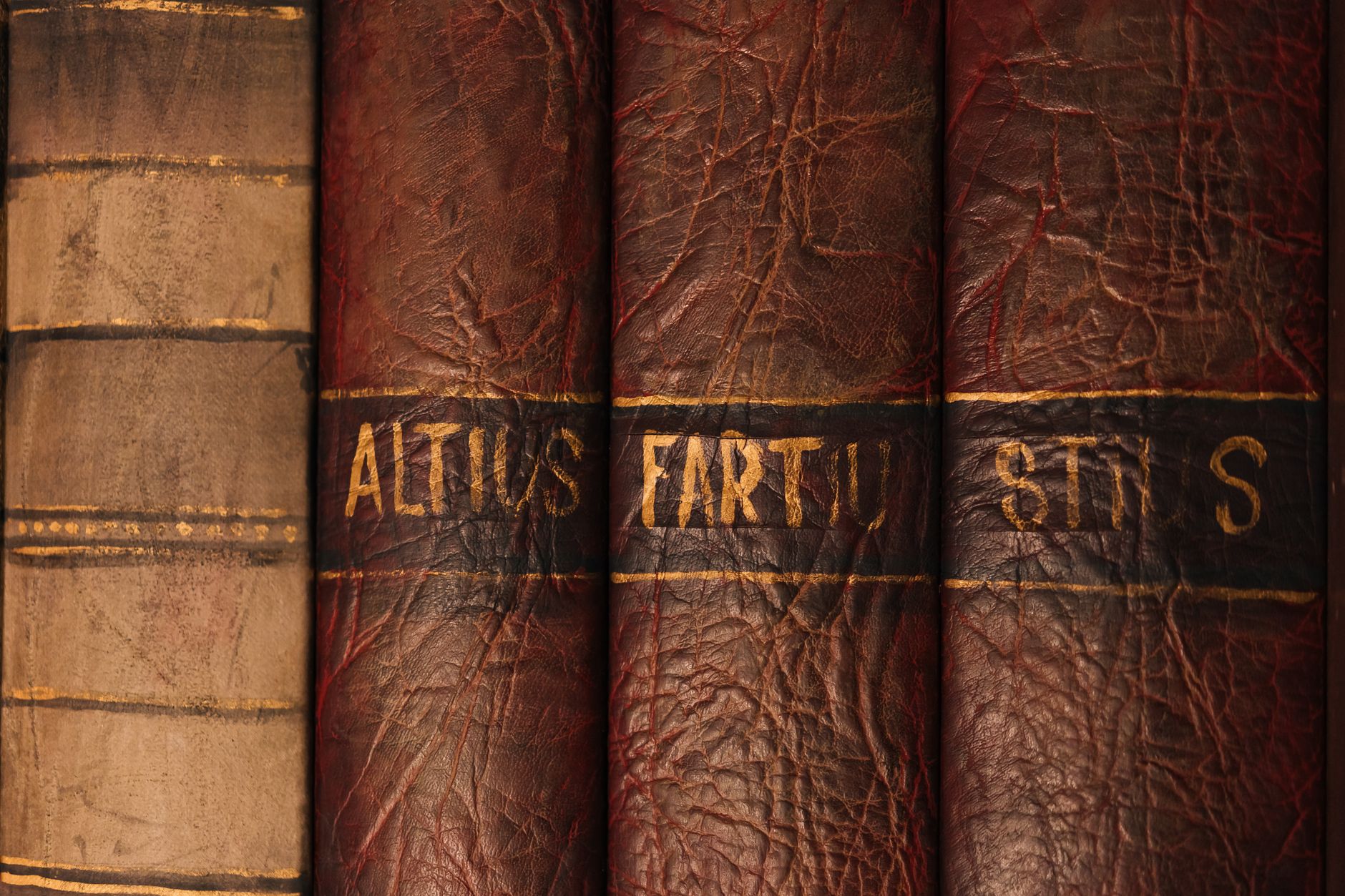 Rows of worn hardcover books on wooden library shelves, suggesting literary history and criticism