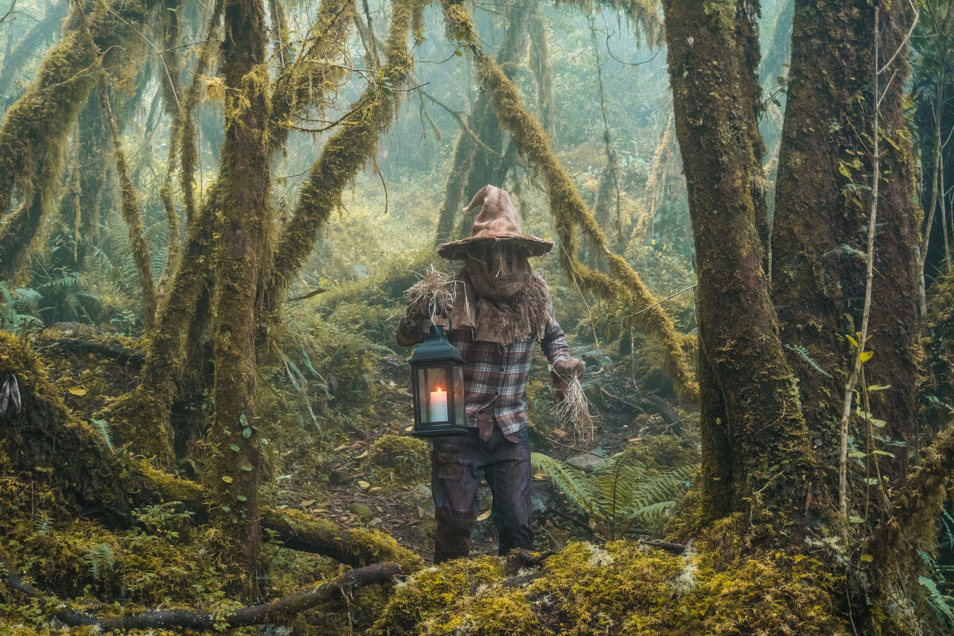 Misty forest at dusk evoking folk horror atmosphere