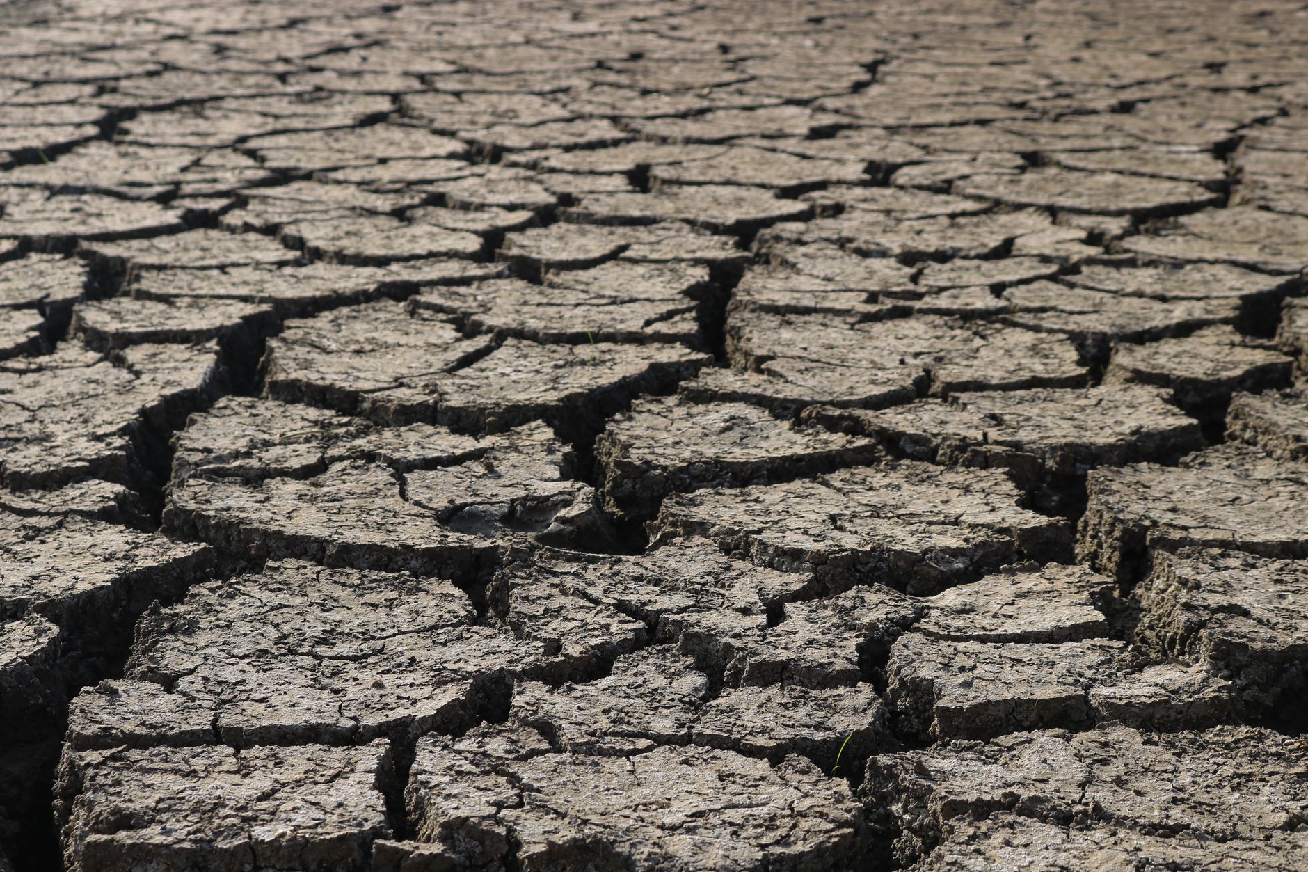 Dry cracked earth illustrating water scarcity in developing regions