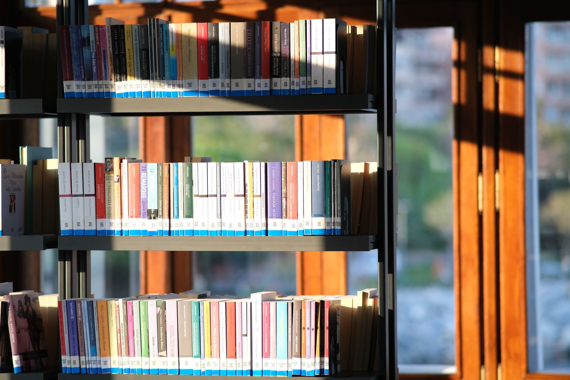 Rows of books on wooden shelves inside a quiet library