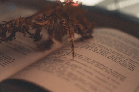 An open poetry collection on a wooden table with natural light