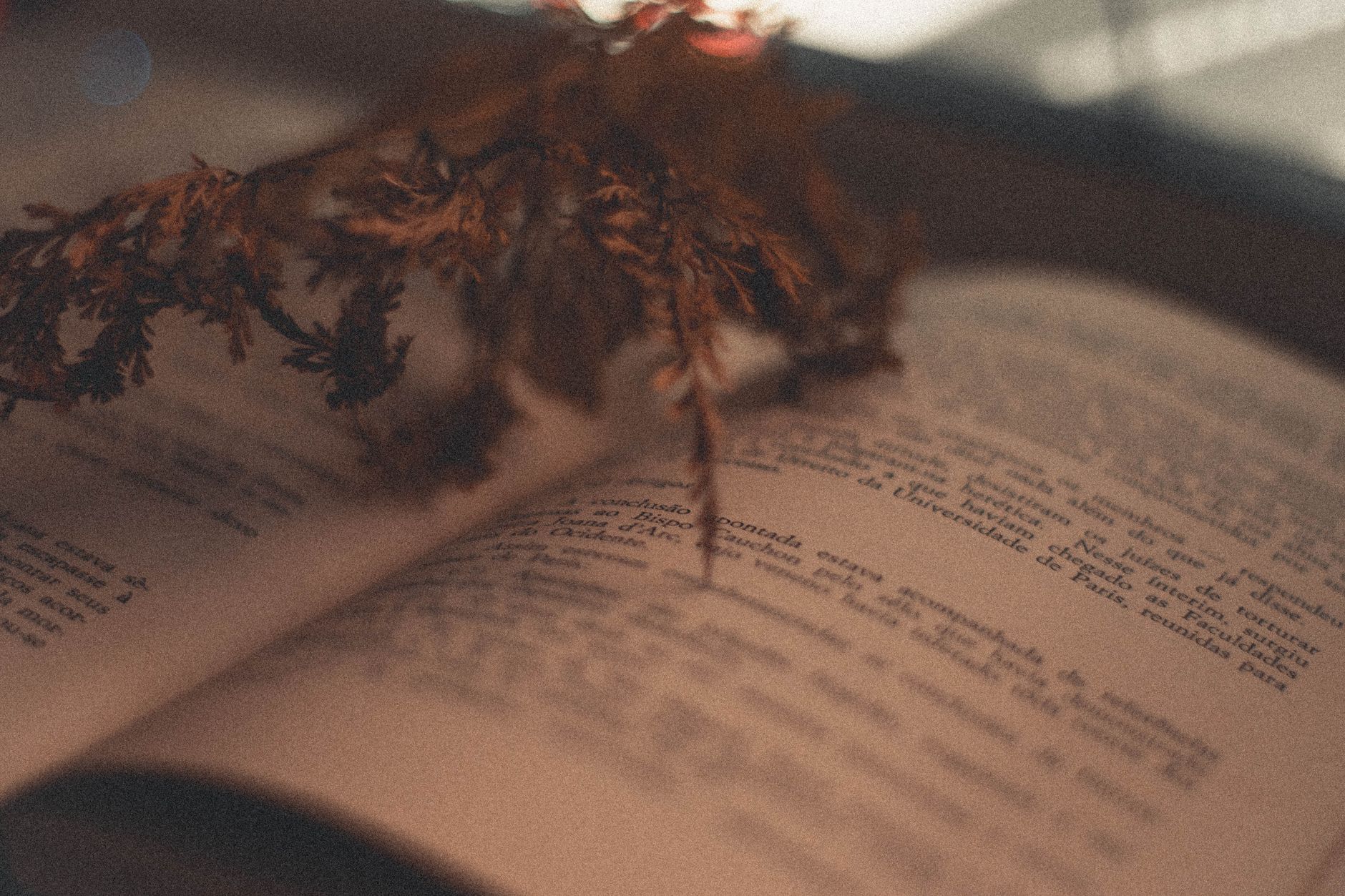 An open poetry collection on a wooden table with natural light