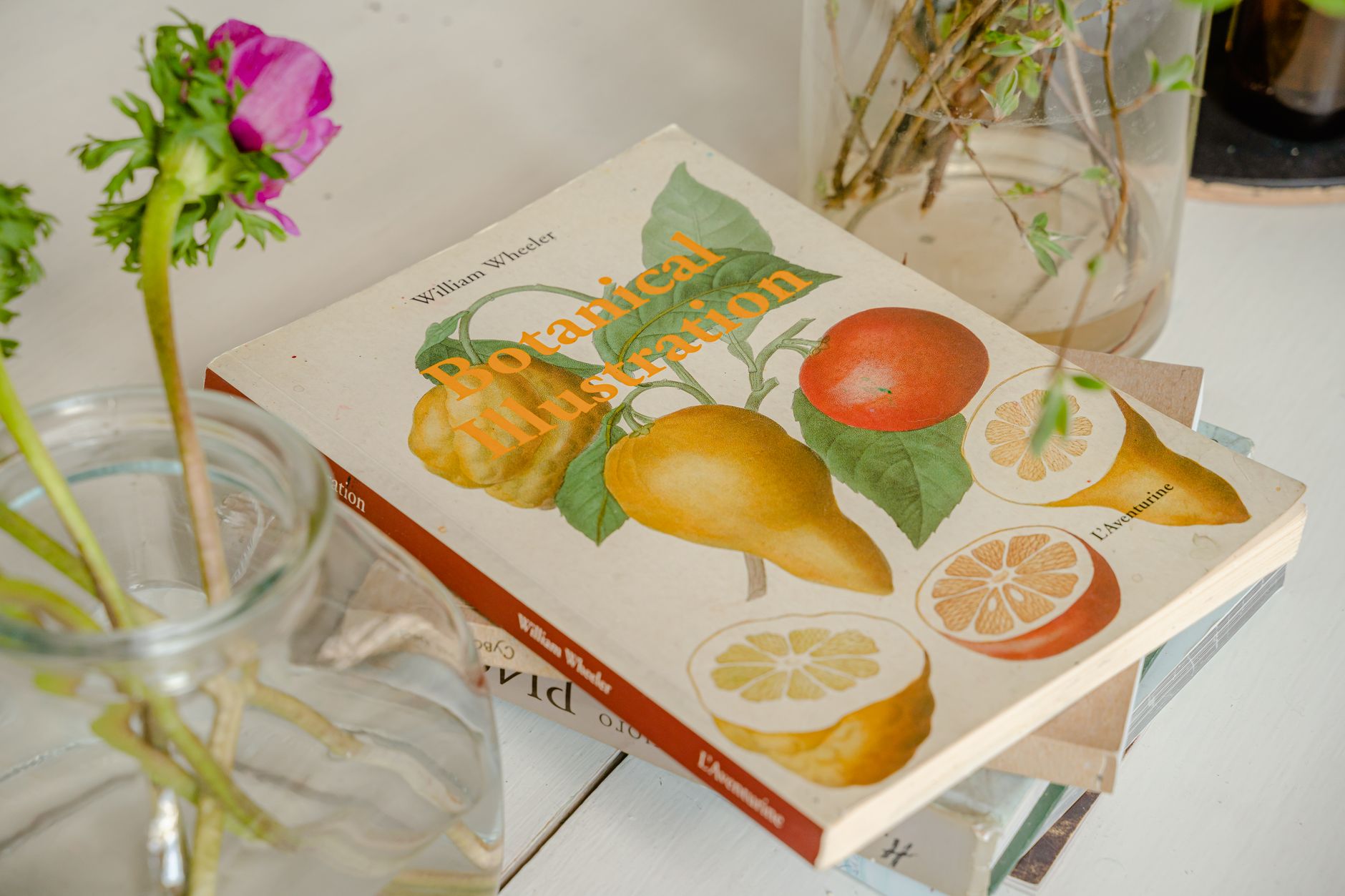 Open vintage illustrated book with detailed graphic artwork on aged pages