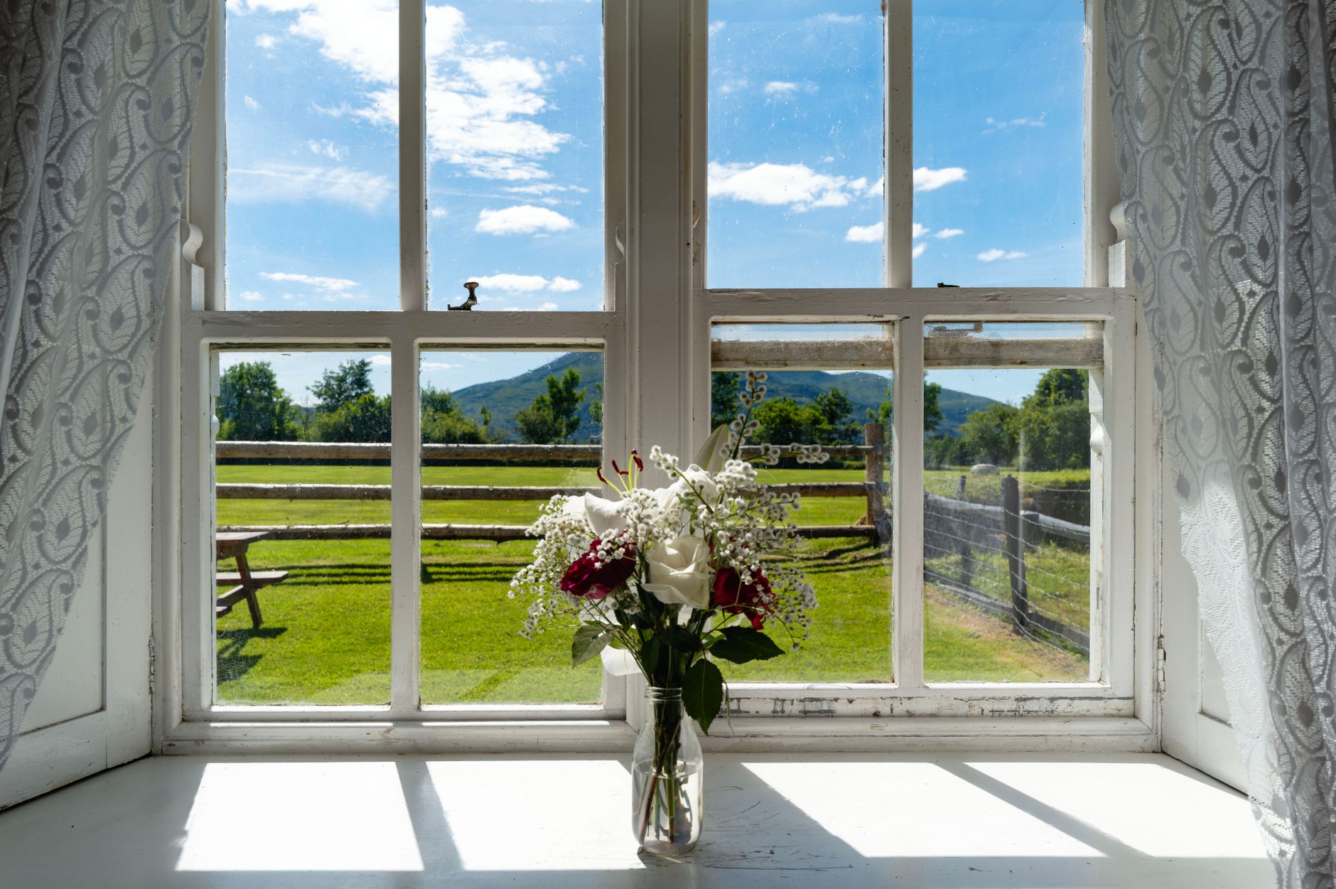 Warm afternoon light coming through a window, capturing the emotional texture of a remembered summer