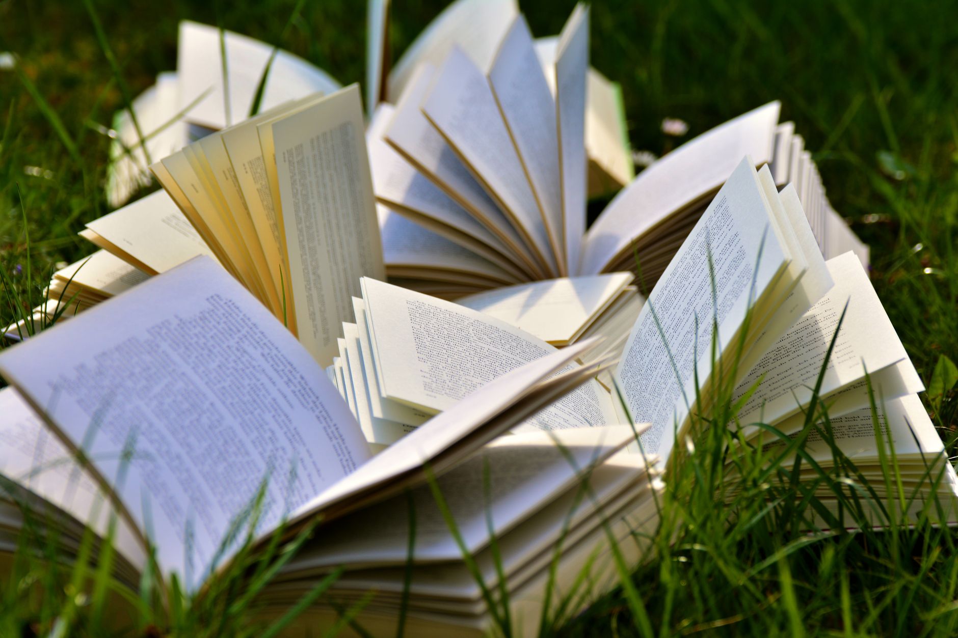 Open book resting on a wooden table in a softly lit library
