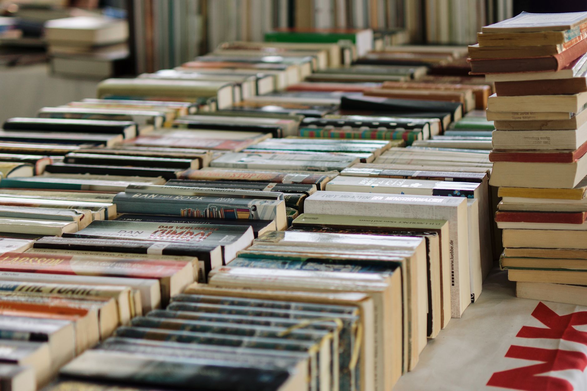 Rows of fiction novels arranged on a bookstore shelf in soft light