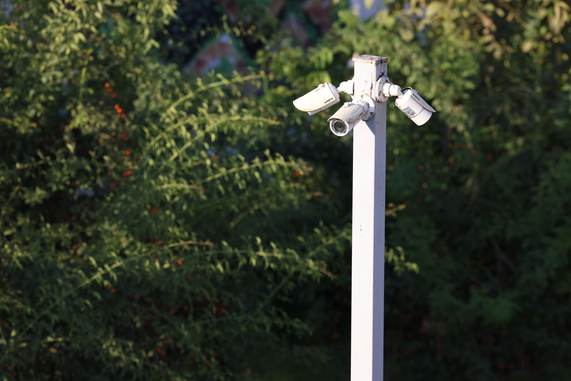 Security camera mounted on a wall representing institutional surveillance systems