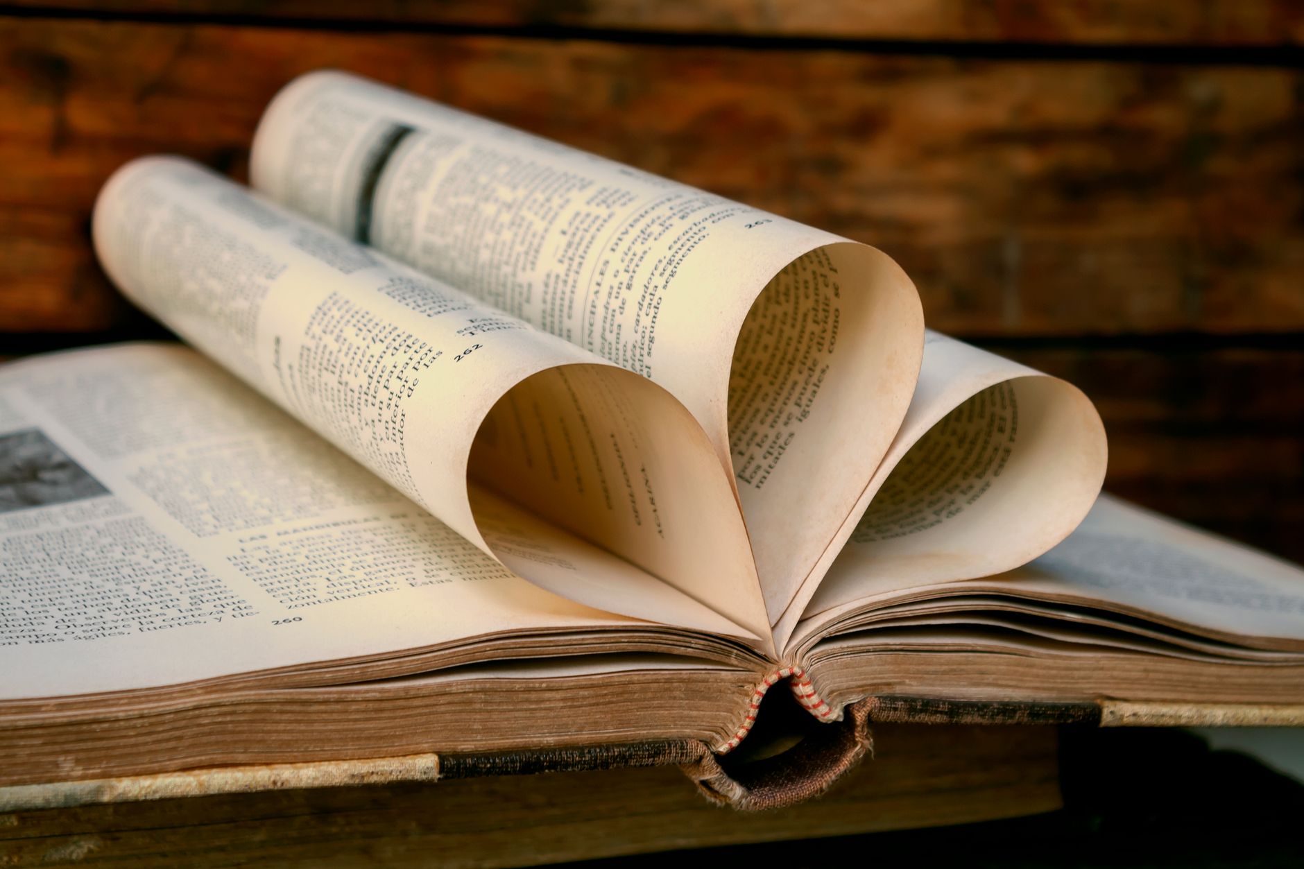 Open book with dramatic shadow, suggesting mystery and moral ambiguity in fiction