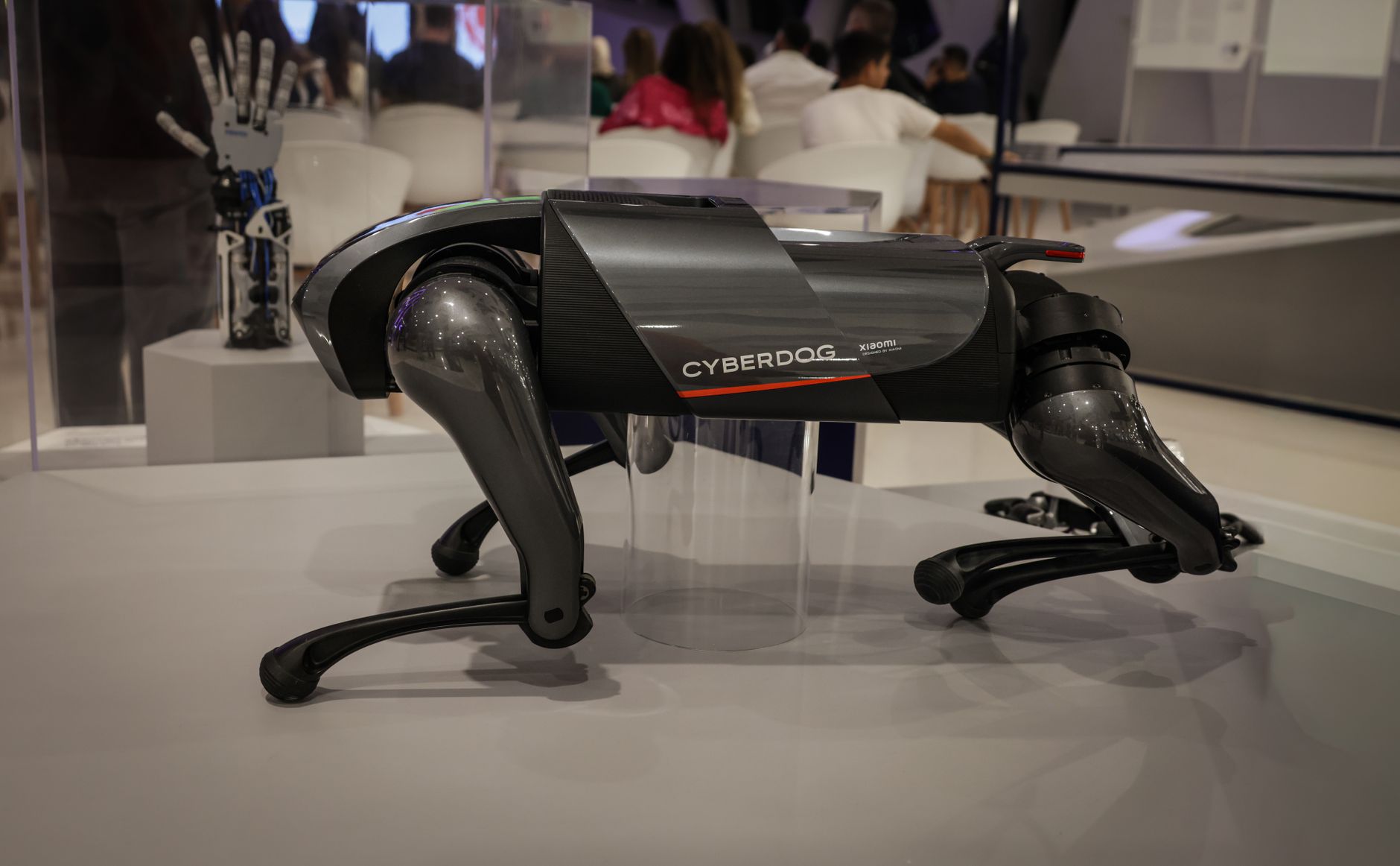 Close-up of a mechanical quadruped robot on a pavement surface